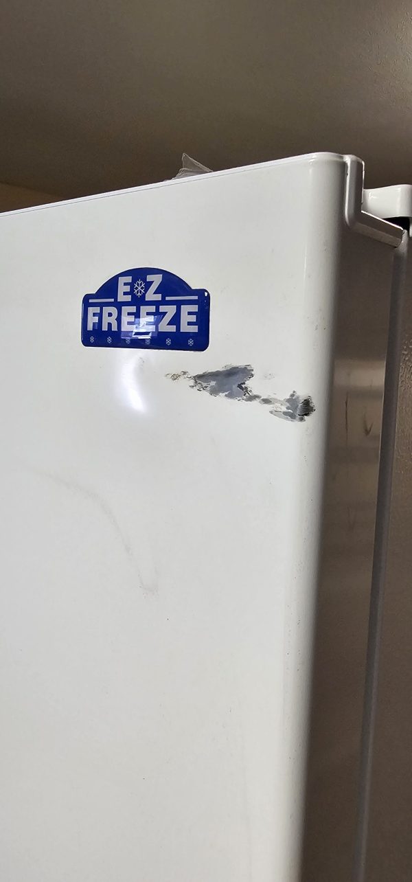 Scratch N Dent Discounted 15 Cu Ft Blizzard Propane Freezer-IN STOCK - Image 3